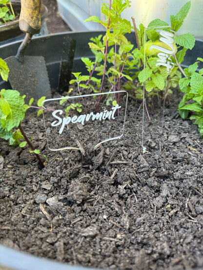 Personalized Acrylic Garden Stakes – Custom Plant Markers | Garden Gift for Plant Lovers